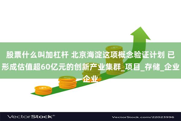 股票什么叫加杠杆 北京海淀这项概念验证计划 已形成估值超60亿元的创新产业集群_项目_存储_企业