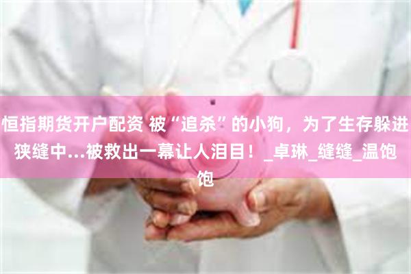 恒指期货开户配资 被“追杀”的小狗，为了生存躲进狭缝中...被救出一幕让人泪目！_卓琳_缝缝_温饱