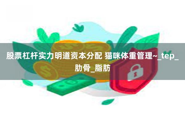 股票杠杆实力明道资本分配 猫咪体重管理~_tep_肋骨_脂肪