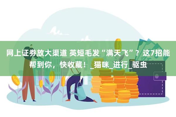 网上证劵放大渠道 英短毛发“满天飞”？这7招能帮到你，快收藏！_猫咪_进行_驱虫