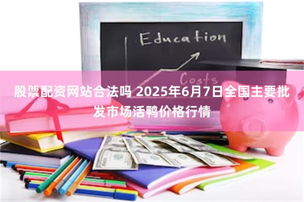 股票配资网站合法吗 2025年6月7日全国主要批发市场活鸭价格行情