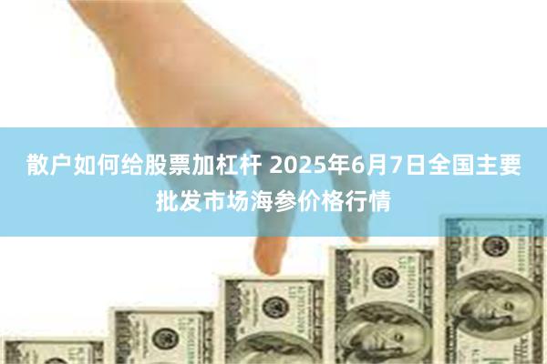 散户如何给股票加杠杆 2025年6月7日全国主要批发市场海参价格行情