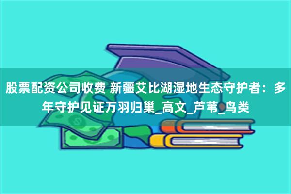 股票配资公司收费 新疆艾比湖湿地生态守护者：多年守护见证万羽归巢_高文_芦苇_鸟类