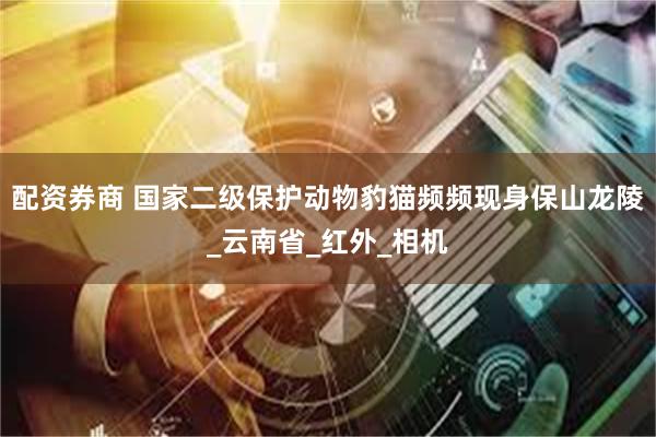 配资券商 国家二级保护动物豹猫频频现身保山龙陵_云南省_红外_相机
