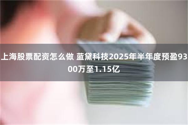 上海股票配资怎么做 蓝黛科技2025年半年度预盈9300万至1.15亿