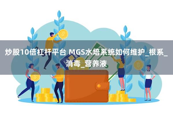 炒股10倍杠杆平台 MGS水培系统如何维护_根系_消毒_营养液