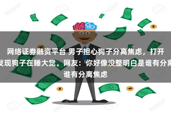 网络证劵融资平台 男子担心狗子分离焦虑,打开监控发现狗子在睡大觉。网友:你好像没整明白是谁有分离焦虑